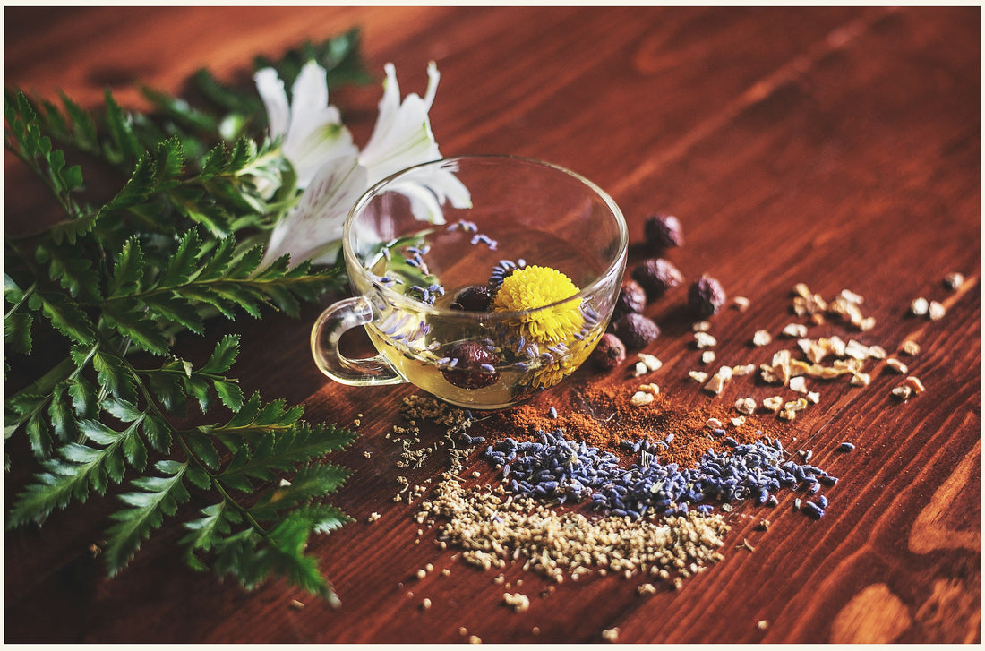 The Science of Adaptogens: How Herbal Supplements Reduce Stress and Boost Energy