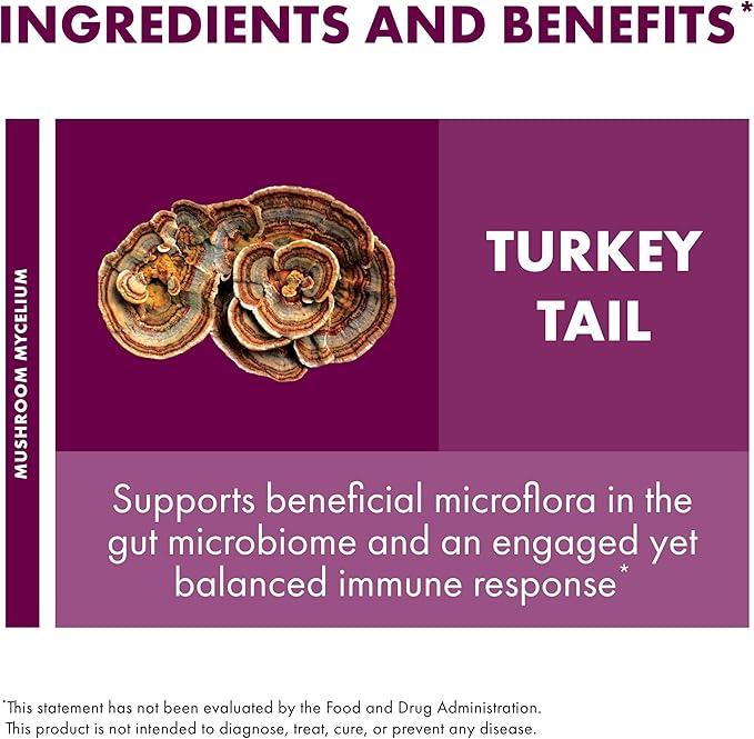 Host Defense Turkey Tail Capsules - Digestive Health & Immune Response Support Supplement - Mushroom Supplement for Gastrointestinal & Gut Microbiome Support - 30 Capsules (15 Servings)*