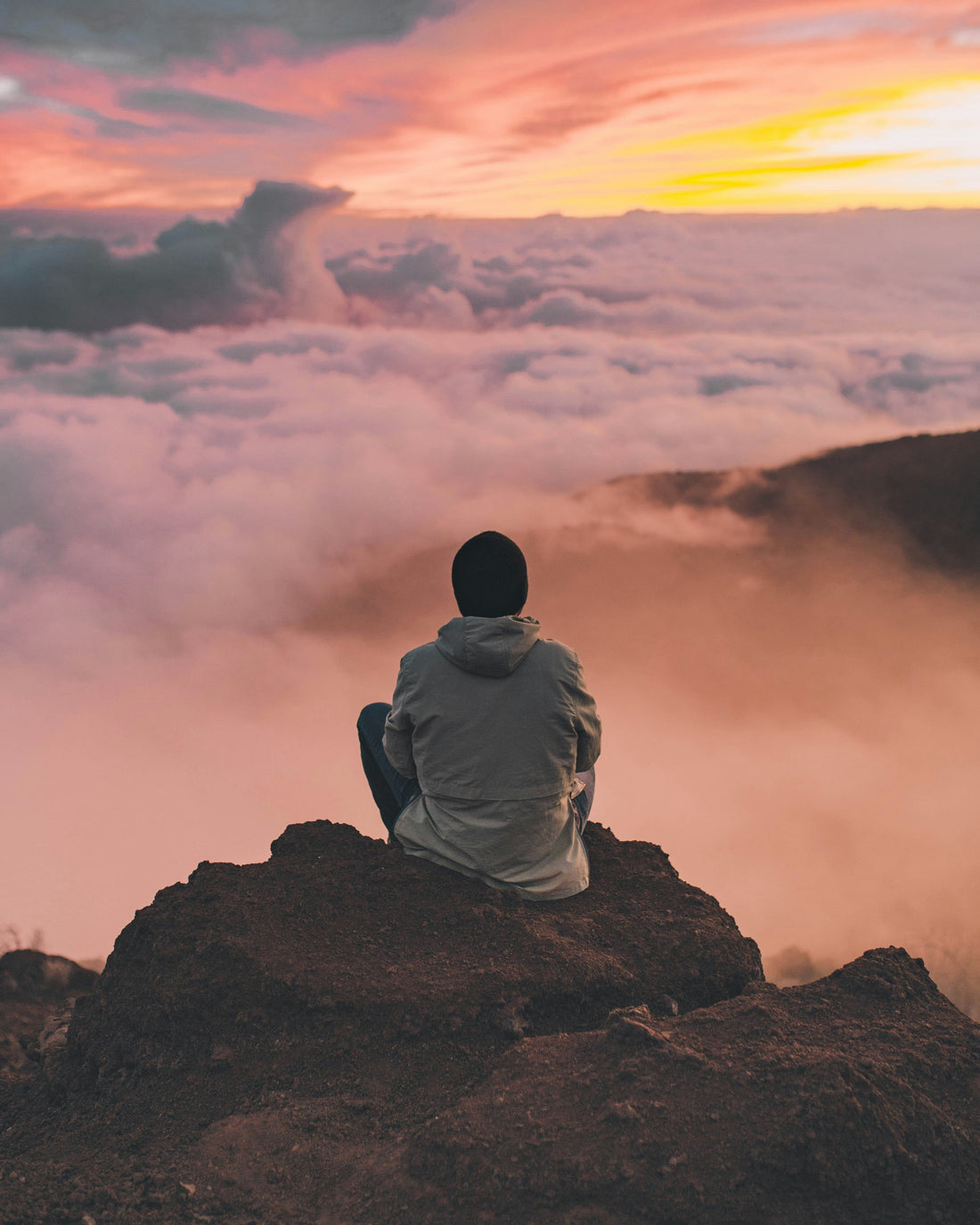 The Science Behind Adaptogens: How They Support Stress Management
