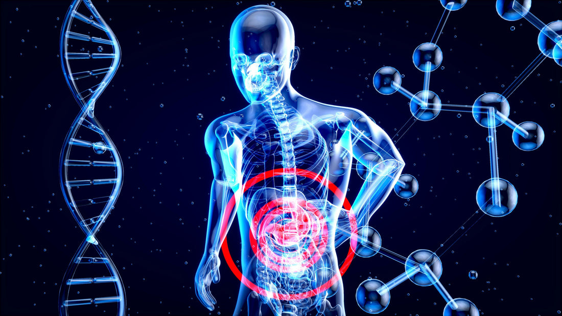 The Role of Probiotics in Digestive Health and Overall Wellness