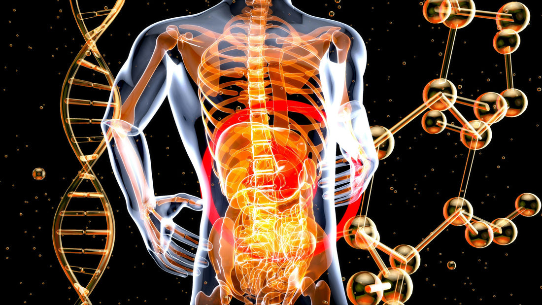 The Role of Gut Health in Overall Wellness: Probiotics and Beyond
